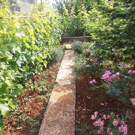 Janja Apartmán Božava
