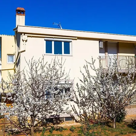 Apartmán Janja